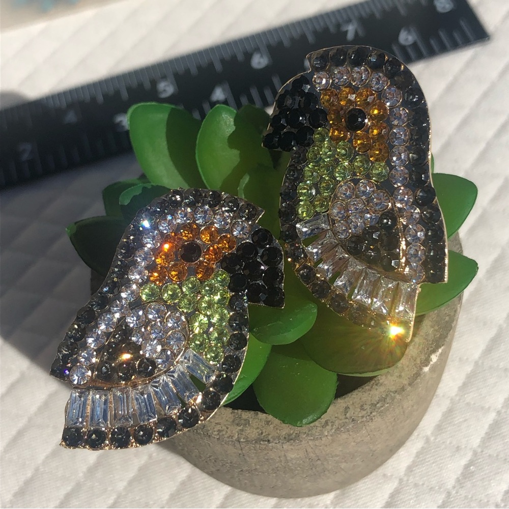 Beautiful sparkly unique bird earrings 🖤. Fun 🦜